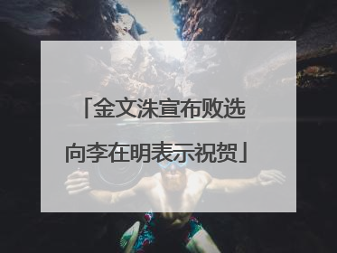 金文洙宣布败选 向李在明表示祝贺